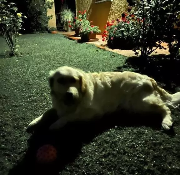 Bed and Breakfast Villaspino