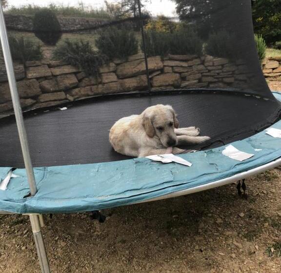 Bed and Breakfast Villaspino