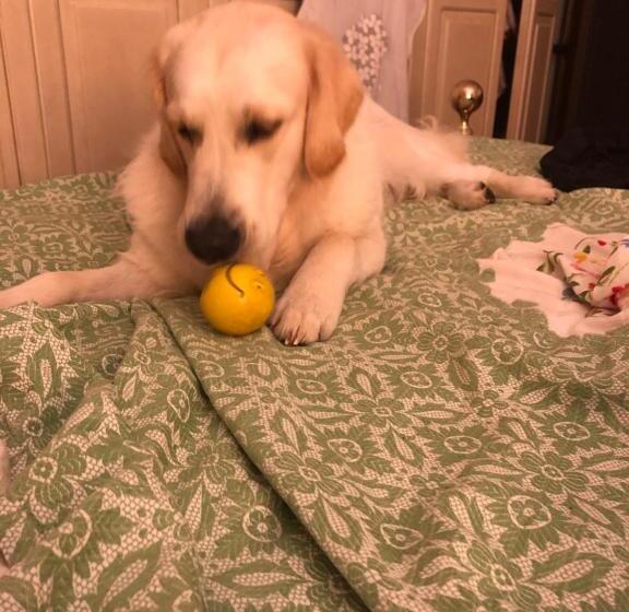 Bed and Breakfast Villaspino