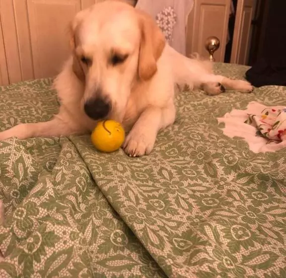 Bed and Breakfast Villaspino