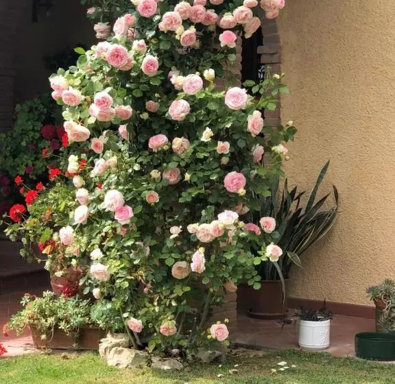 Bed and Breakfast Villaspino