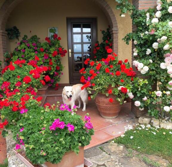 Bed and Breakfast Villaspino