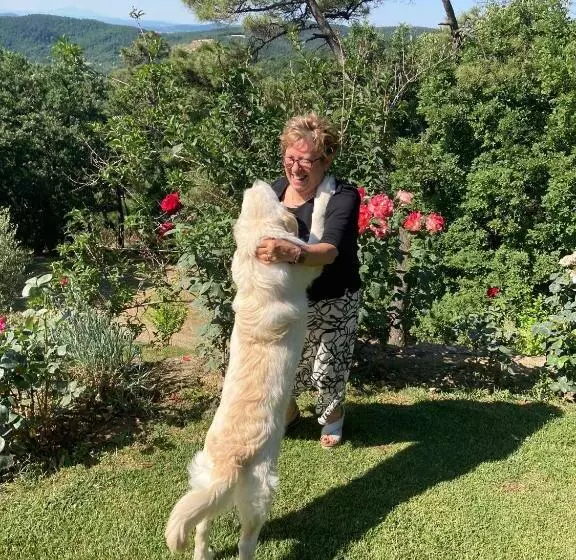 Bed and Breakfast Villaspino