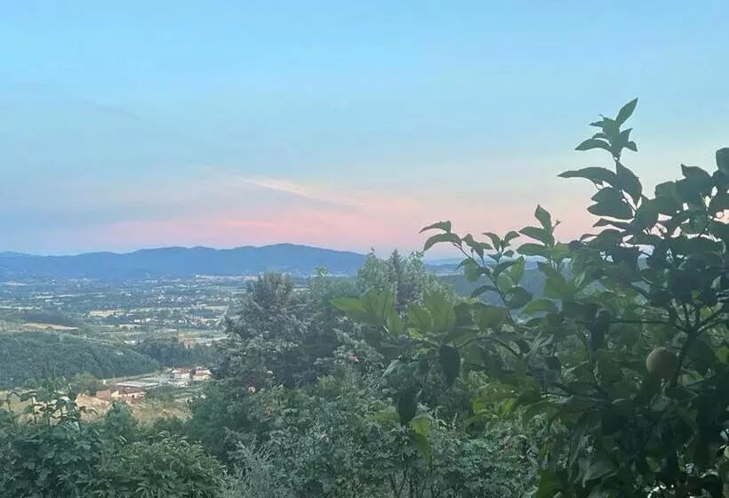 Bed and Breakfast Villaspino