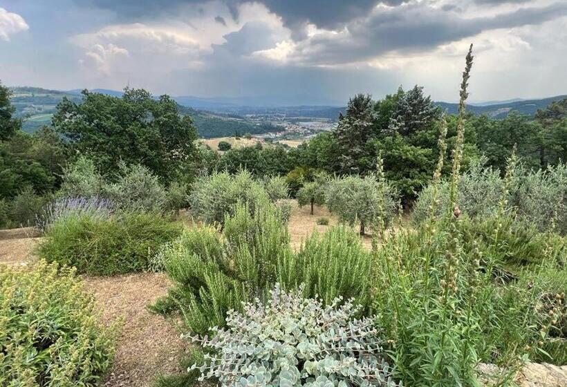 Bed and Breakfast Villaspino