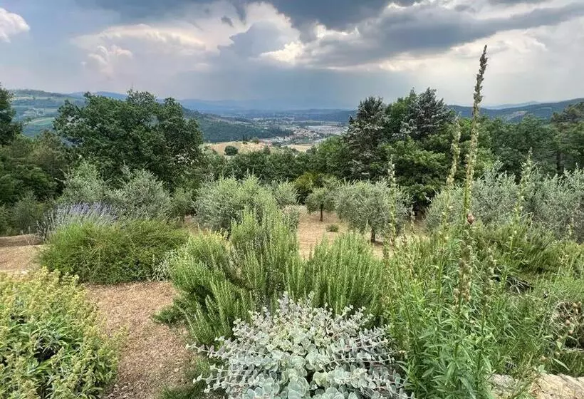 Bed and Breakfast Villaspino