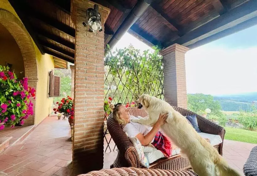 Bed and Breakfast Villaspino