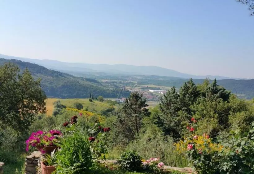 Bed and Breakfast Villaspino