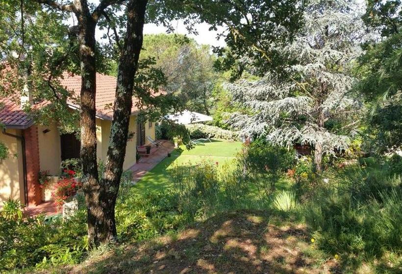 Bed and Breakfast Villaspino