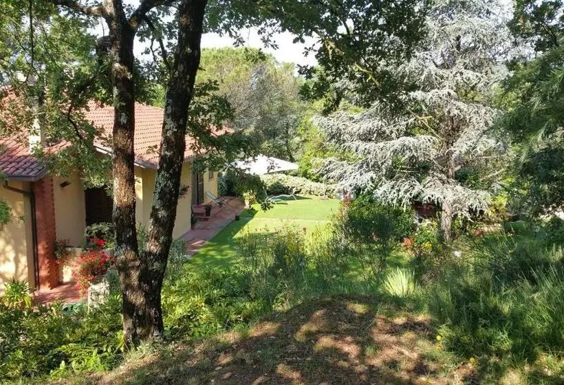 Bed and Breakfast Villaspino