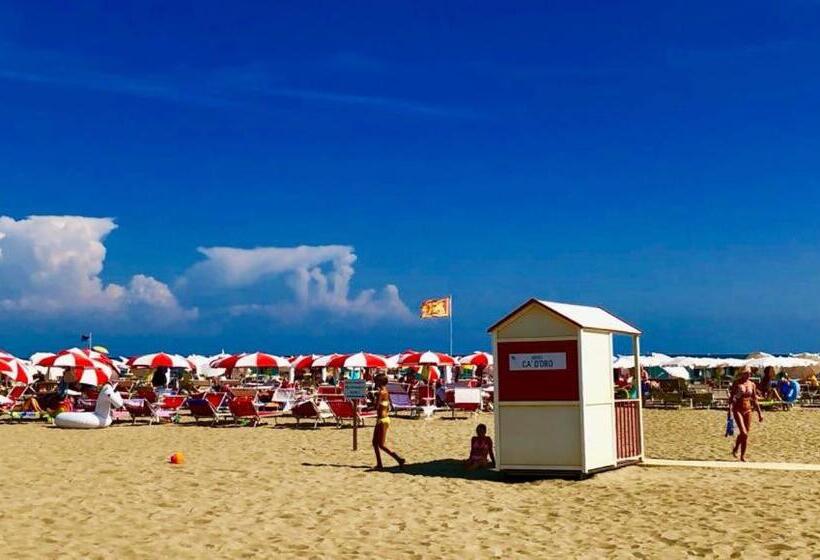 Отель Ca' D'oro