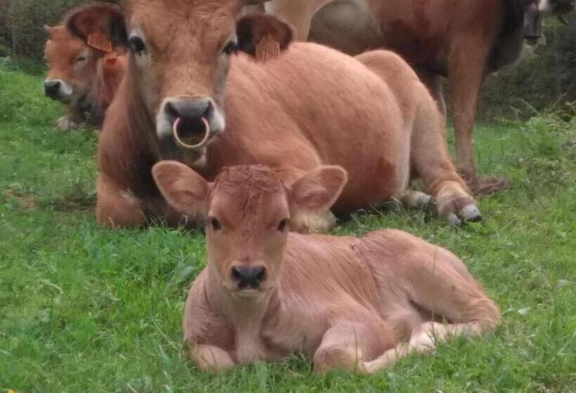 酒店 Caseria La Infiesta