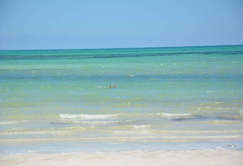 בית מלון כפרי Hôtel Résidence Bellevue Zarzis