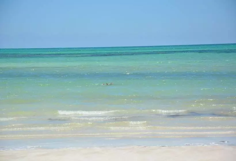 Hotelli Hôtel Résidence Bellevue Zarzis