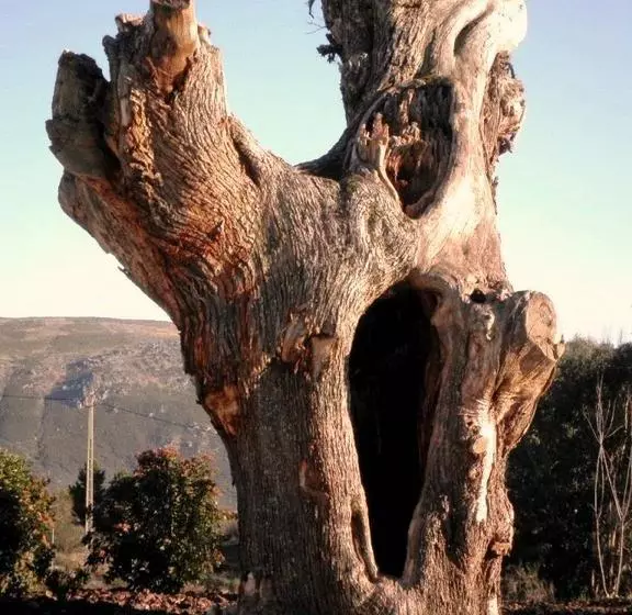 Hotelli Meson De Erosa