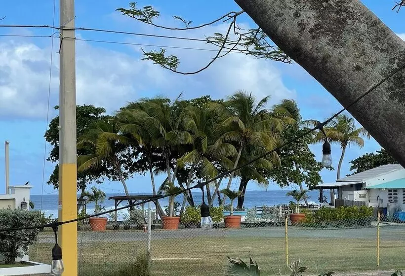 پانسیون Las Olas Beach Studios