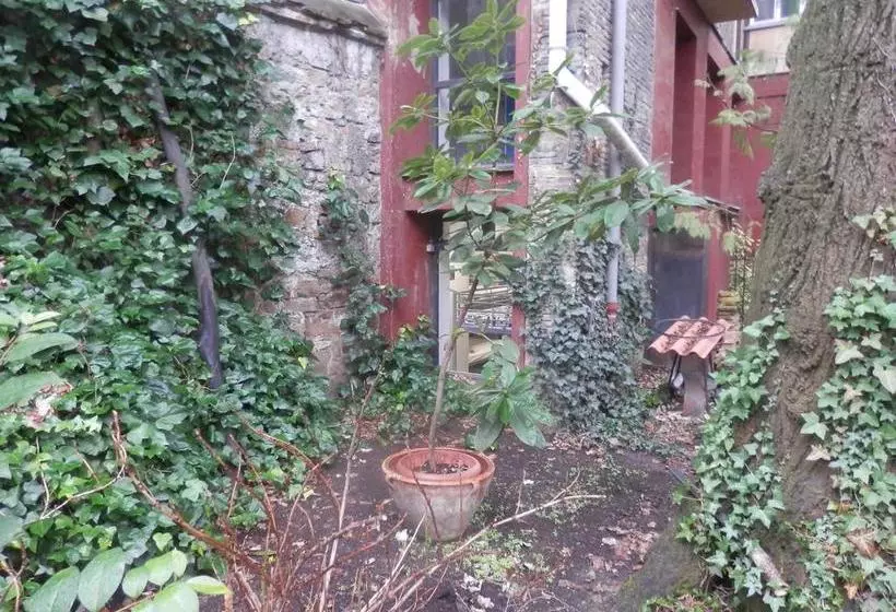 Albergue Plaza Catedral