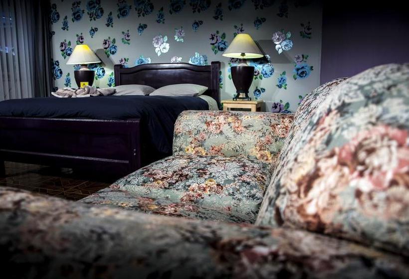 تختخواب و صبحانه York Vintage