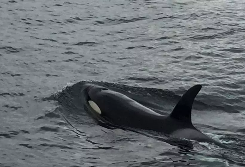 Hotelli Breiview Guest House