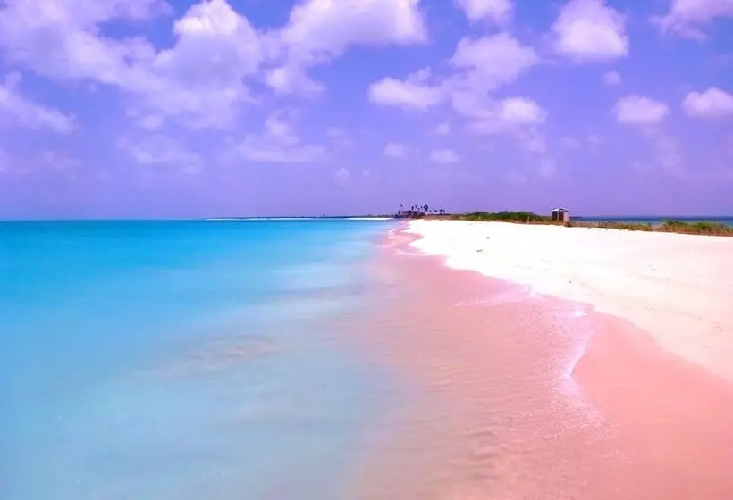 هتل Paradiseview