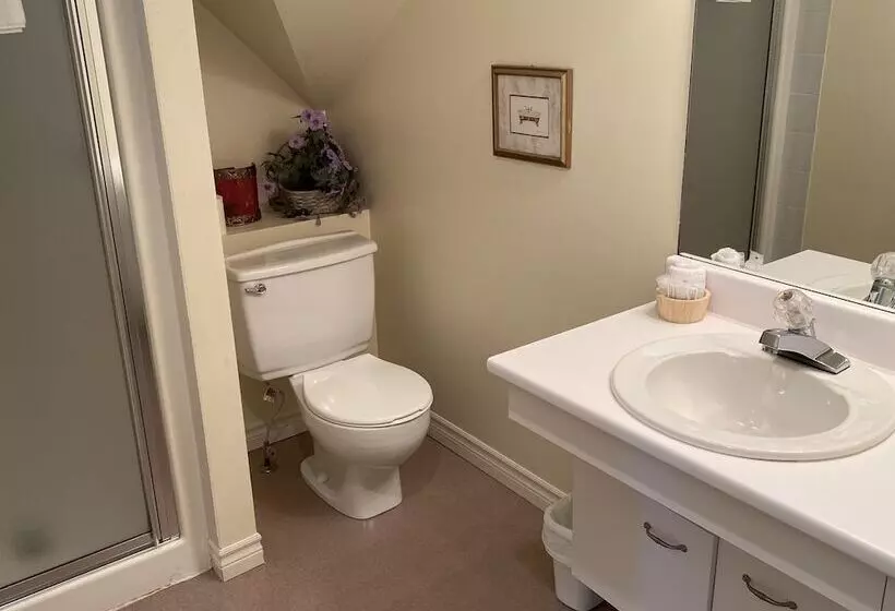 Hotelli Auberge Le Tricorne