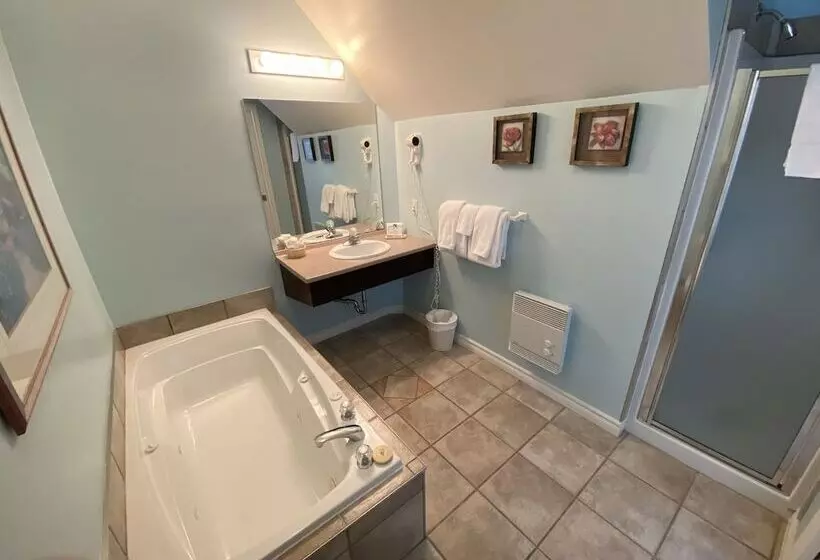 Hotelli Auberge Le Tricorne