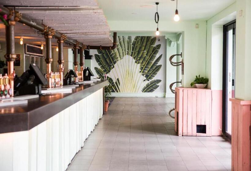 בית מלון כפרי Coogee Bay