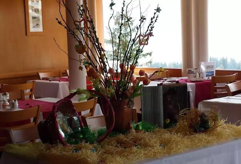 Hotelli Hôtel Splendide