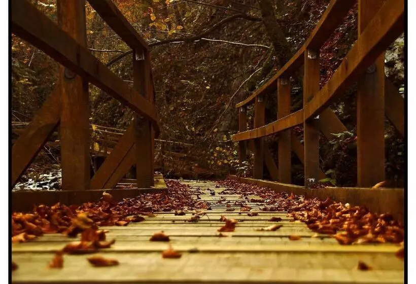 Hotelli Pansion I Restoran Bijela Ruža