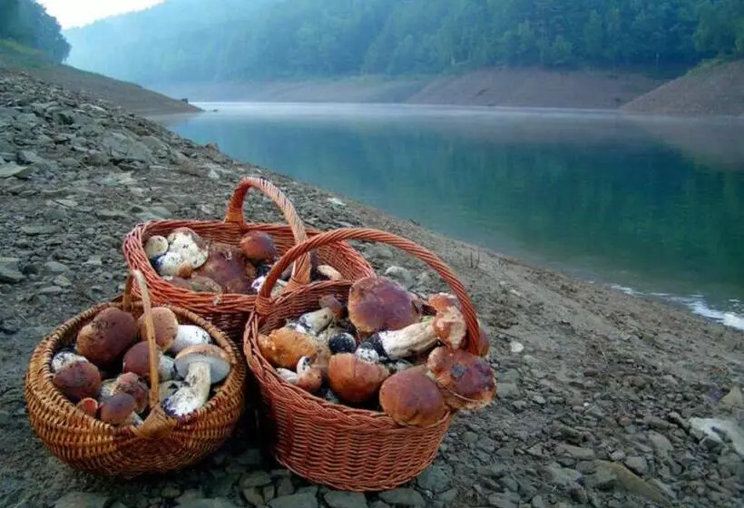 Hotelli Pansion I Restoran Bijela Ruža