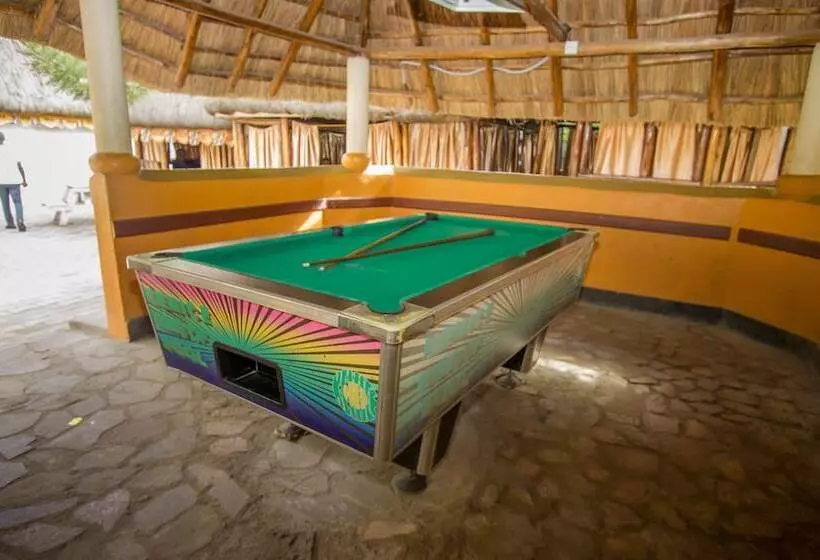 هتل Tropical Savannah Guesthouse