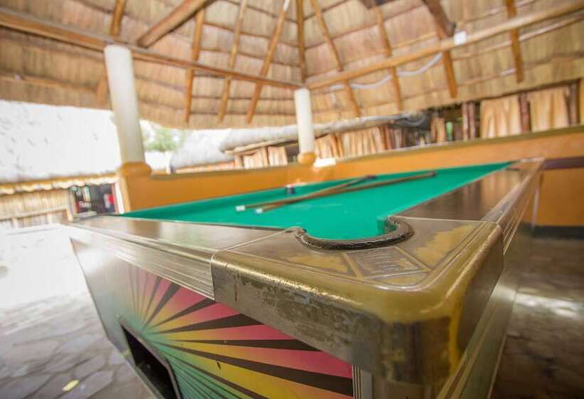 هتل Tropical Savannah Guesthouse