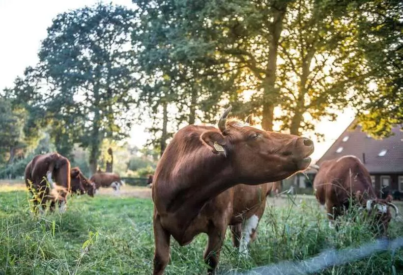 Hotelli Erfgoed Bossem