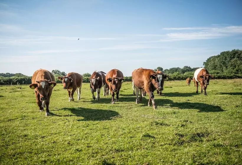 Hotelli Erfgoed Bossem