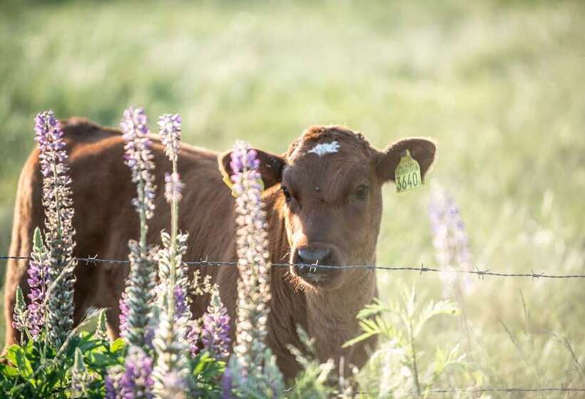호텔 Erfgoed Bossem