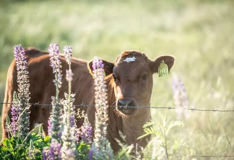 Hotelli Erfgoed Bossem