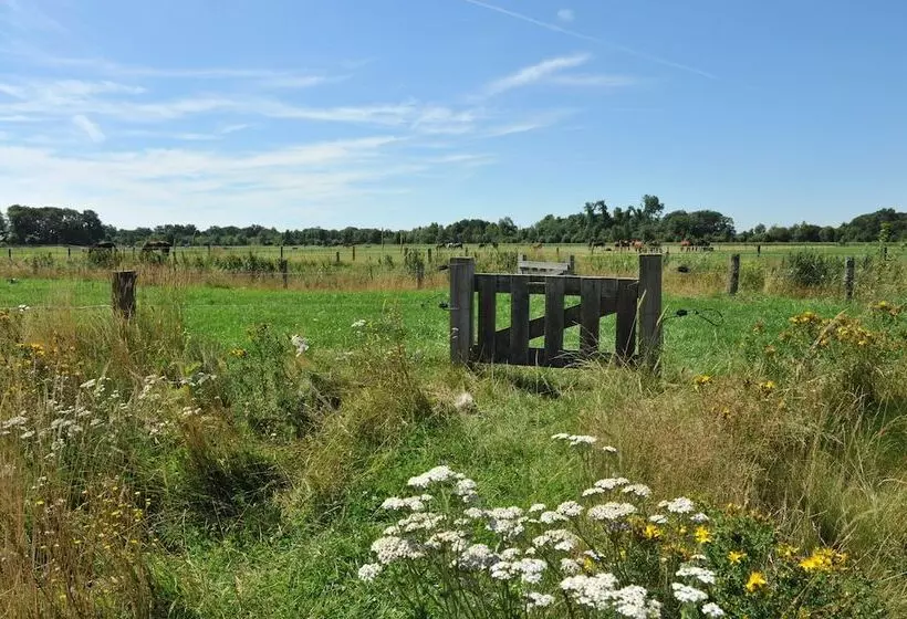 Hotelli Erfgoed Bossem