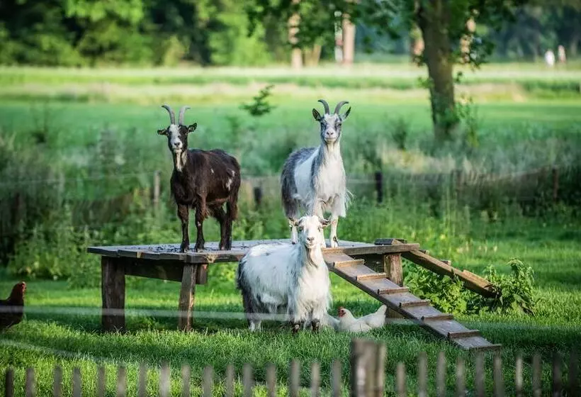Hotelli Erfgoed Bossem