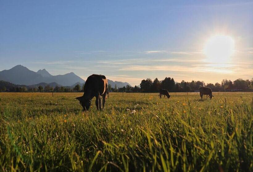 فندق Gästehaus Köpf