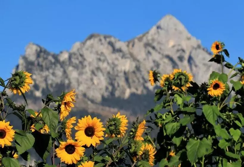 هتل Gästehaus Köpf