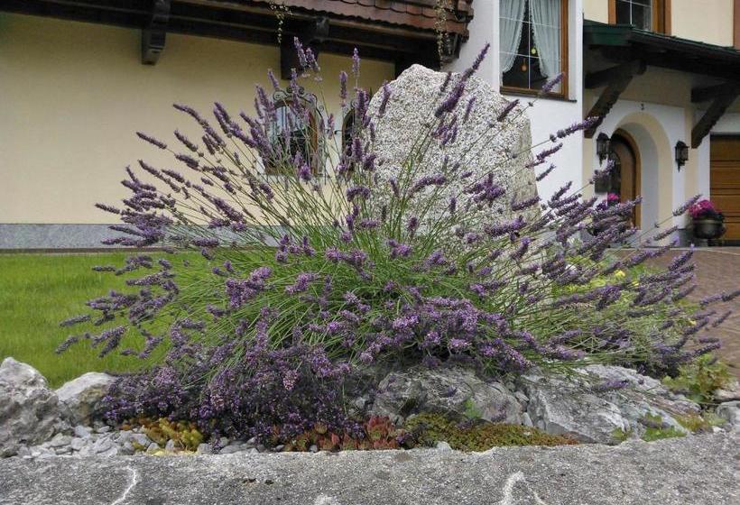 호텔 Lärchenwald Appartements