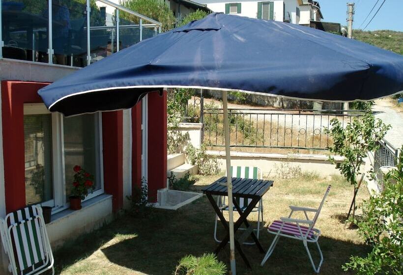 Hotel Orion Guest House