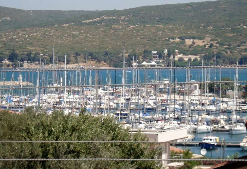 Hotel Orion Guest House