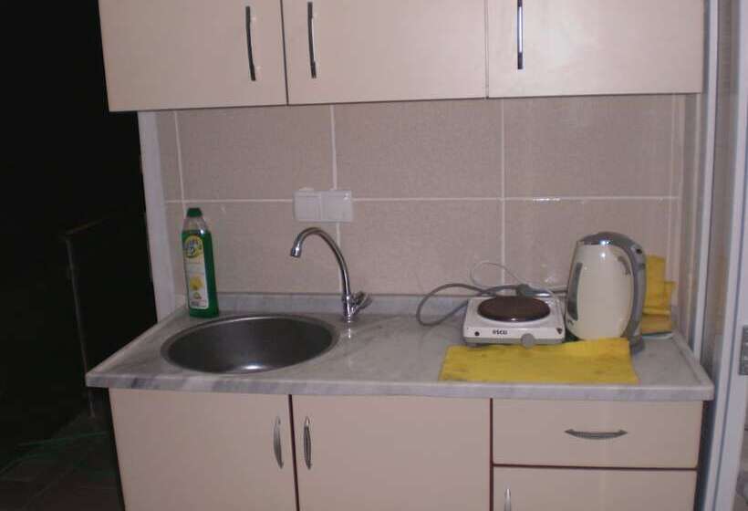 Hotel Orion Guest House