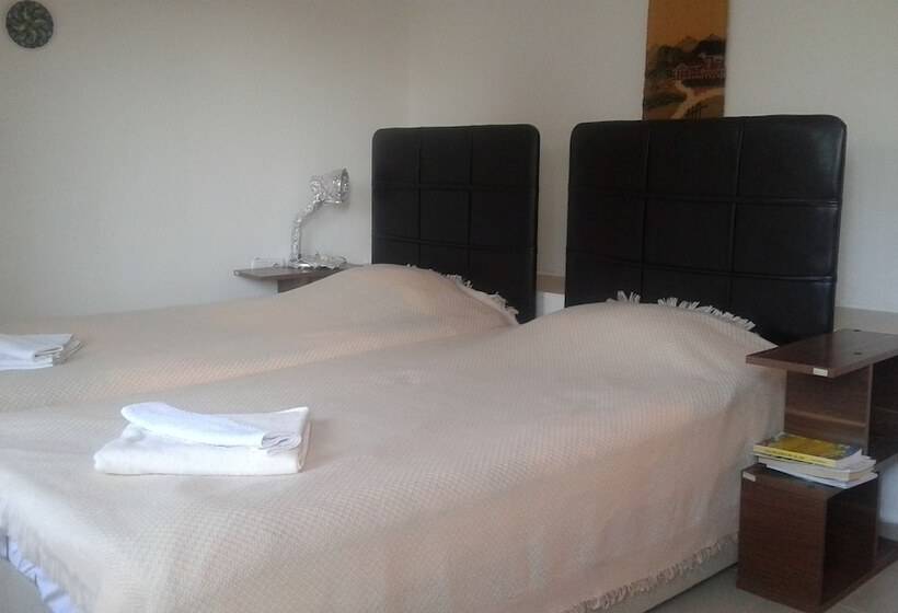 Hotel Orion Guest House