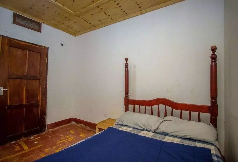 Hotelli Ewaka Guesthouse And Backpackers   Hostel