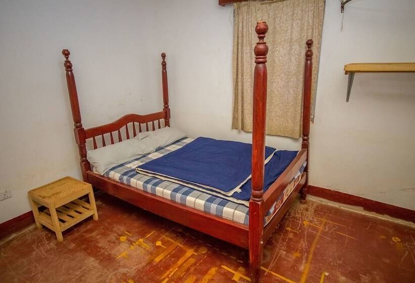 هتل Ewaka Guesthouse And Backpackers   Hostel