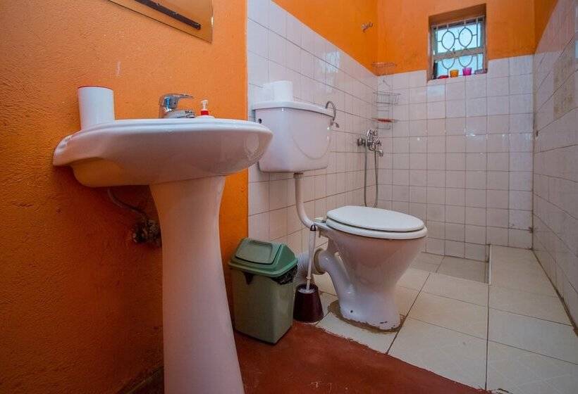 هتل Ewaka Guesthouse And Backpackers   Hostel