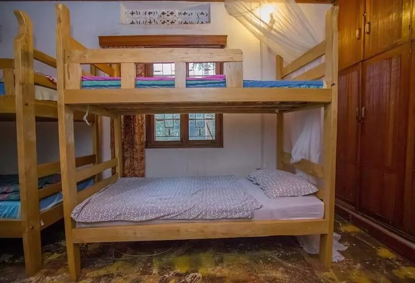 Hotelli Ewaka Guesthouse And Backpackers   Hostel