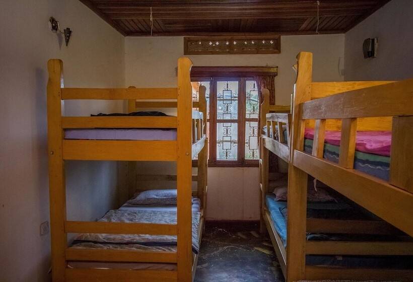 هتل Ewaka Guesthouse And Backpackers   Hostel